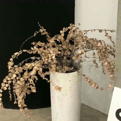 Furry圈经典作品赏析福瑞群